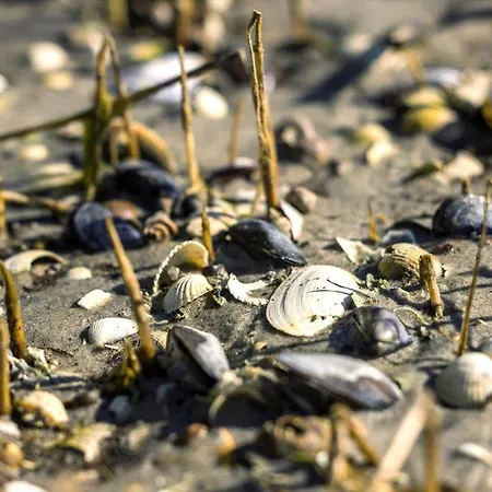 8909-orsted-rorsangervej-14-a *