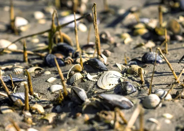 8909-orsted-rorsangervej-14-a 펜션 Ørsted